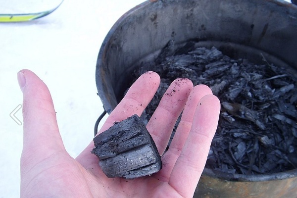 What-is-Biochar