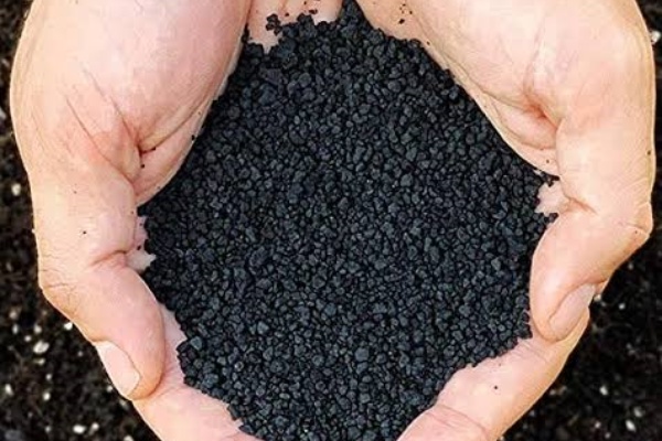 plants and biochar